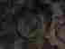 item-134159356=9