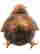 item-136873426=3
