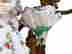 item-136873527=8