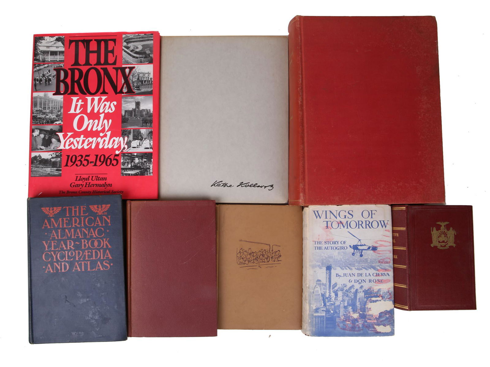 BOOKS AND ALBUMS ON NY AMERICAN LOCAL HISTORY (1 of 16)