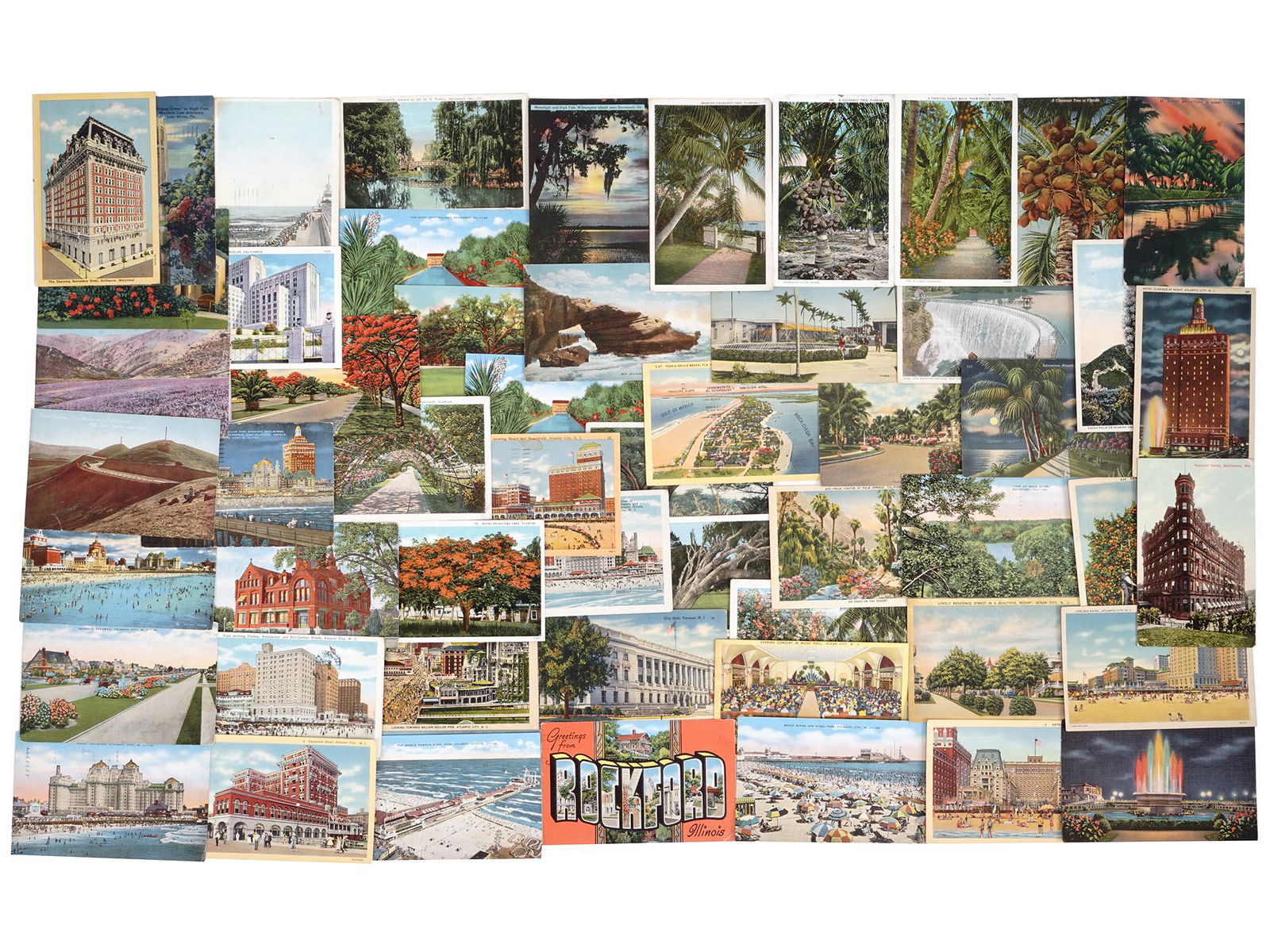 ANTIQUE AND VINTAGE NATURE POSTCARD COLLECTION (1 of 4)