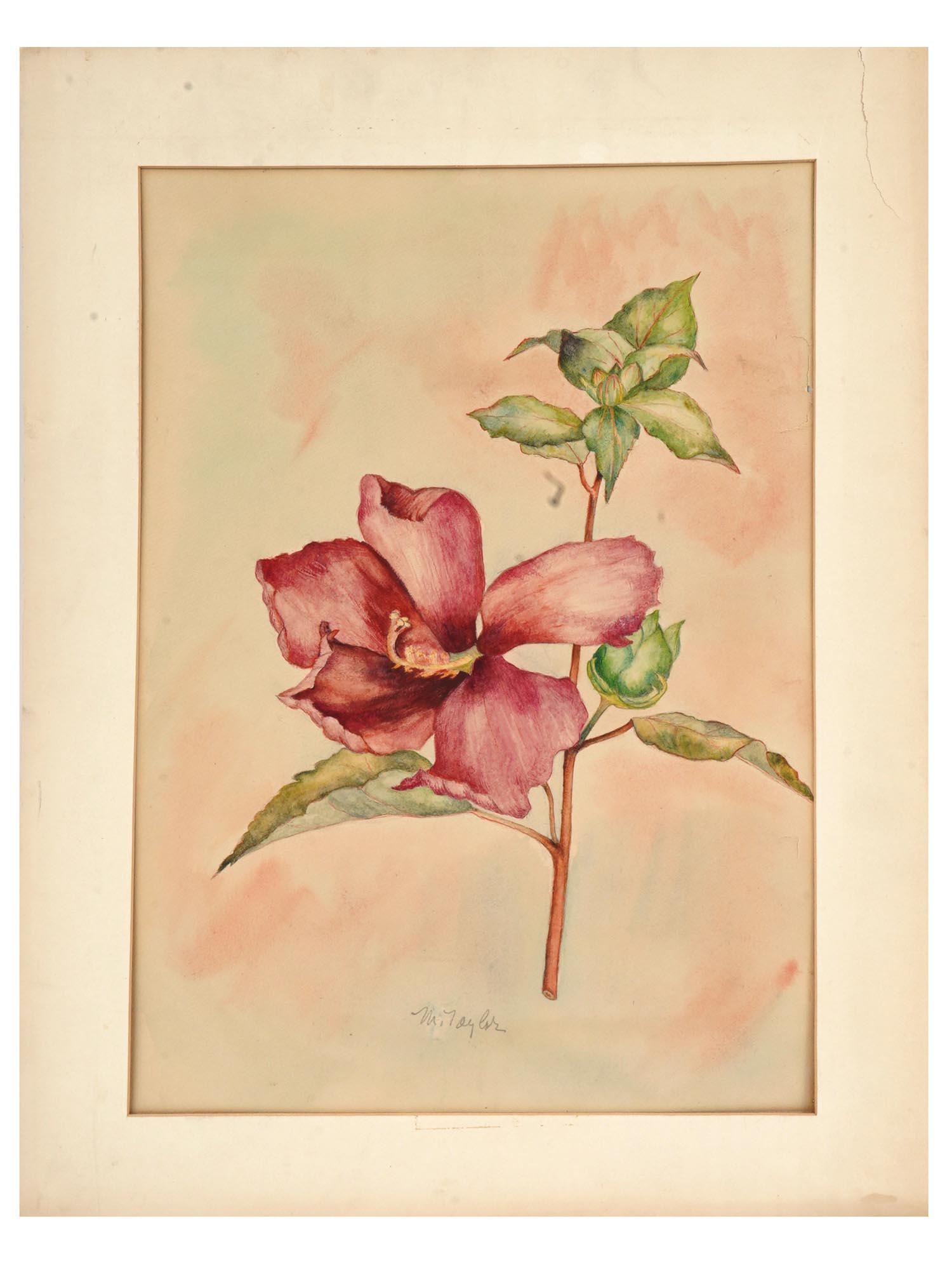 FLOWERS WATERCOLOR PAINTING SIGNED BY M TAYLOR (1 of 4)