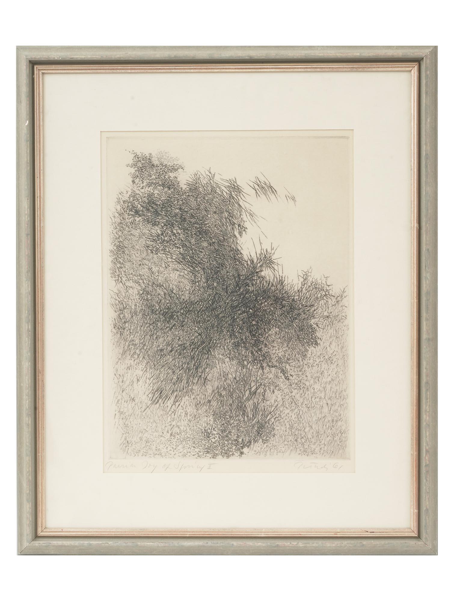 MID CENT AMERICAN ETCHING BY GABOR PETERDI FRAMED (1 of 6)