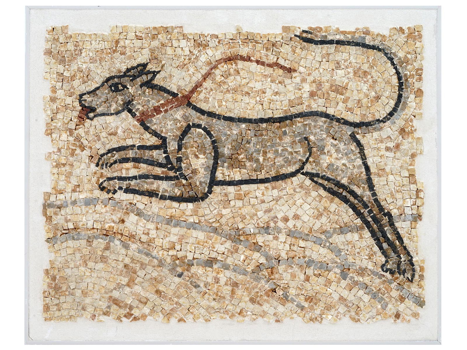ANCIENT WEST ROMAN BYZANTINE EMPIRE MOSAIC OF DOG (1 of 7)
