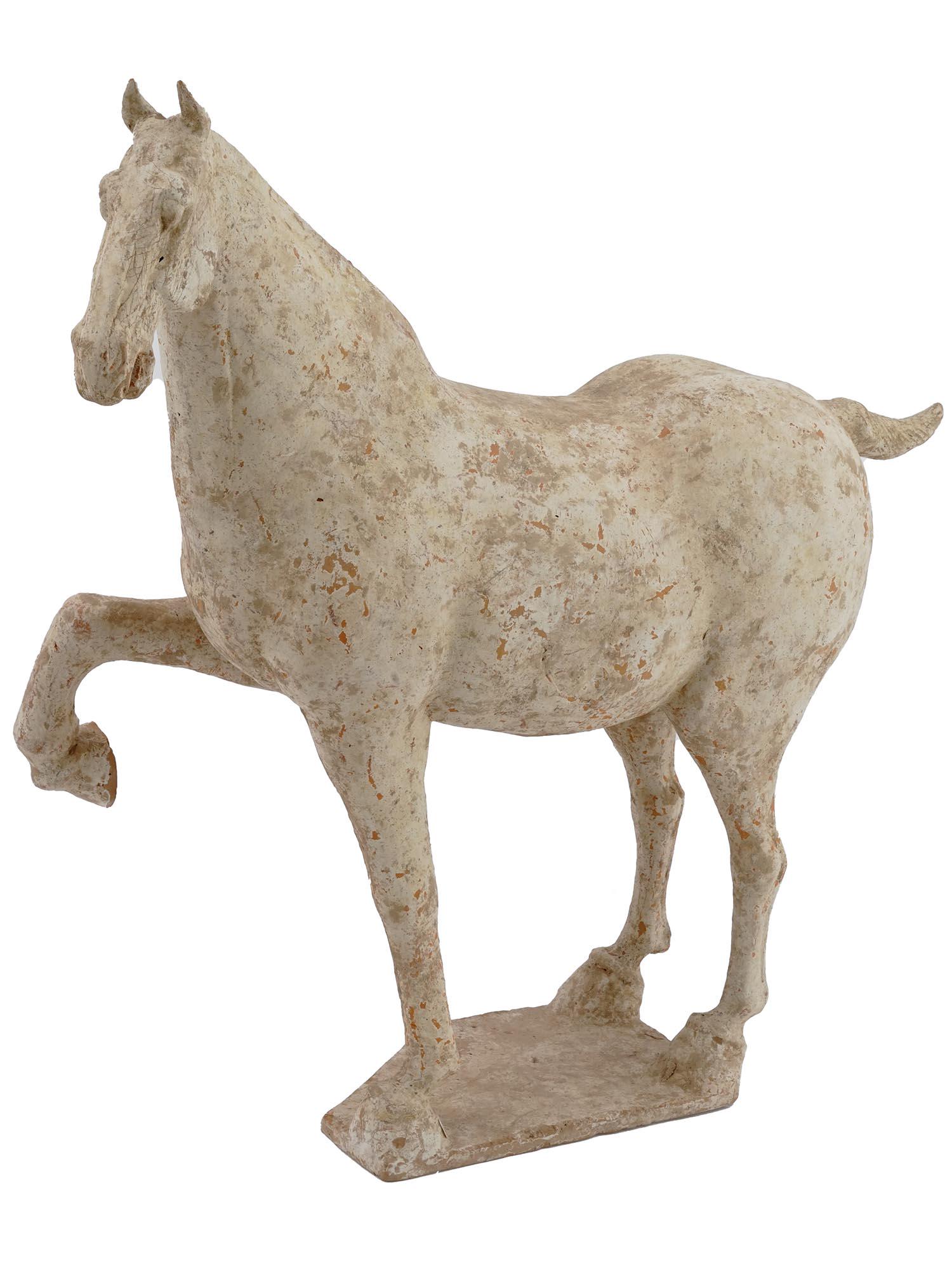 ANCIENT TANG DYNASTY TERRACOTTA FIGURE OF HORSE: An ancient Chinese Tang Dynasty finely modelled and hand painted terracotta pottery figure of a horse. The figure is posed with one of the front legs high raised. The horse has a knotted tail. The fig