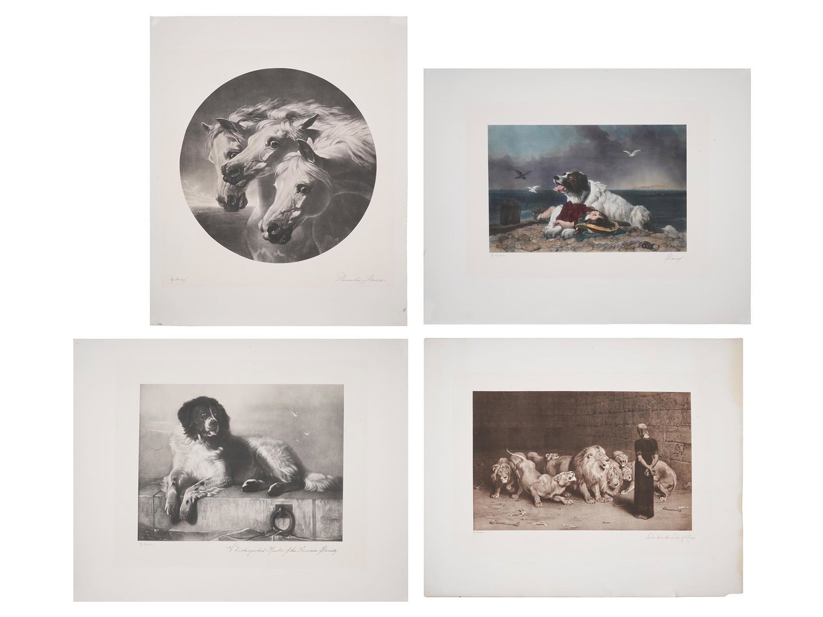 ANIMAL LITHOGRAPHS BY HERRING, LANDSEER, RIVIERE (1 of 12)