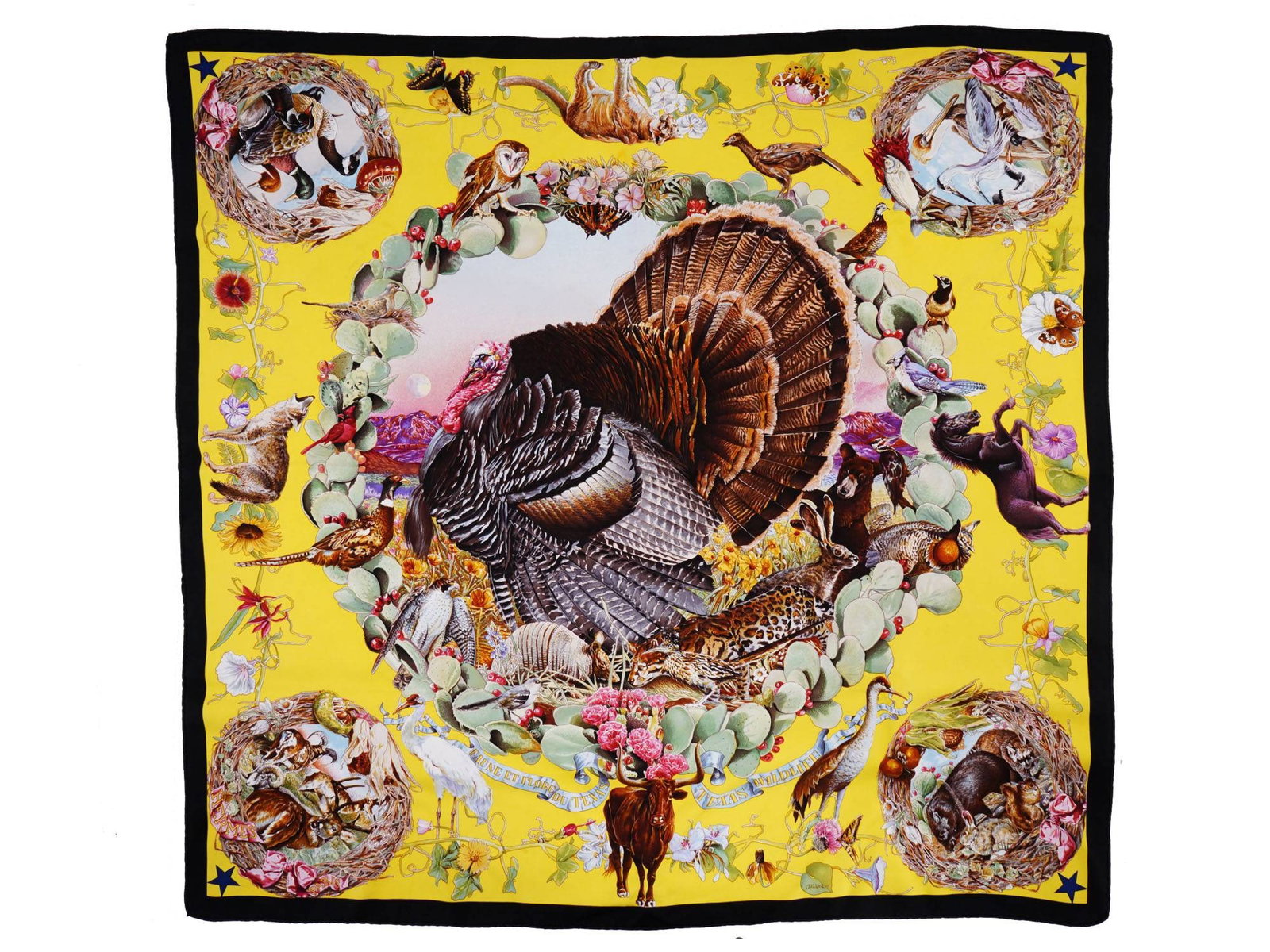 HERMES FAUNA FLORA TEXAS SILK SCARF BY OLIVER KERMIT (1 of 8)