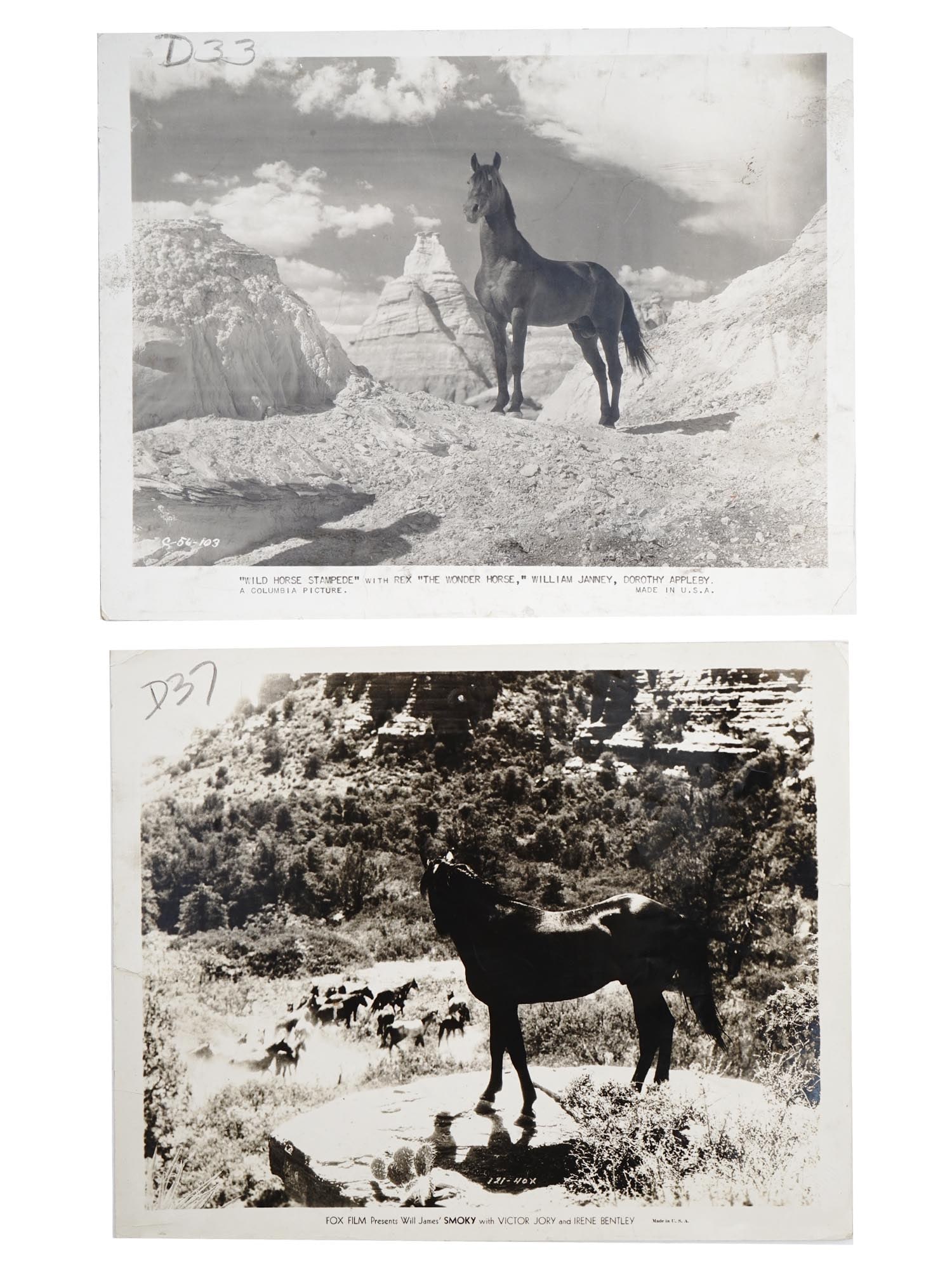 LOT OF SILVER GELATIN PHOTO PRINTS FOR HORSE ACTORS (1 of 7)