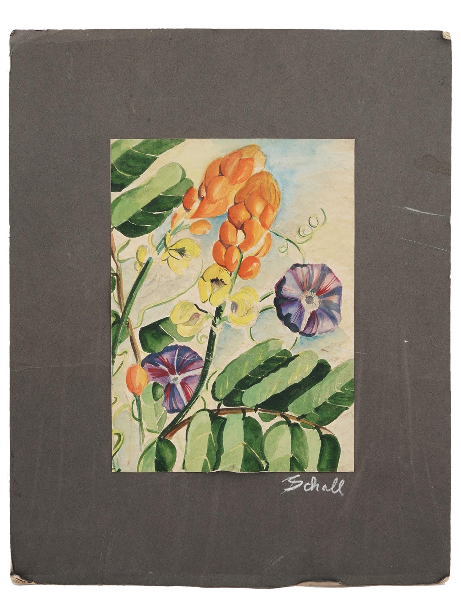 1944 CASSIA FLOWER PAINTING BY BOB SCHALL MATTED (1 of 5)