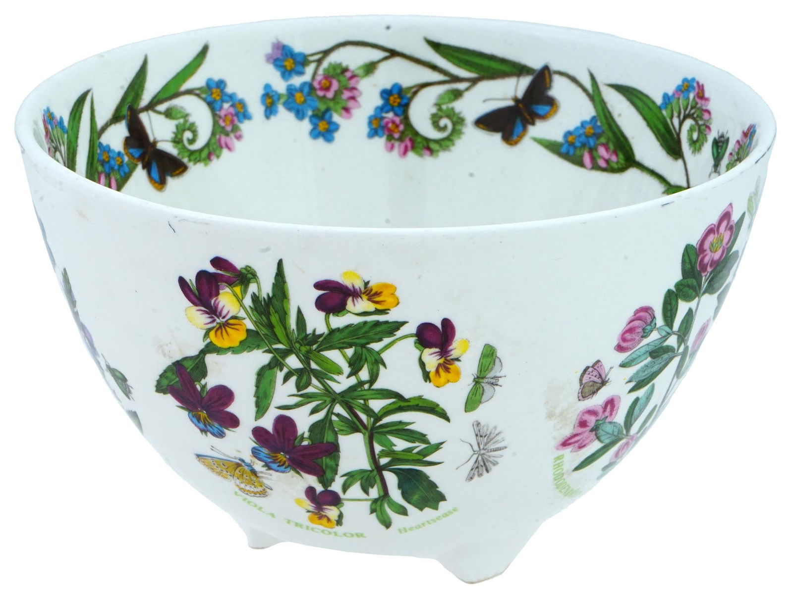 1978 PORTMEIRION BOTANIC GARDEN CERAMIC BERRY BOWL (1 of 9)