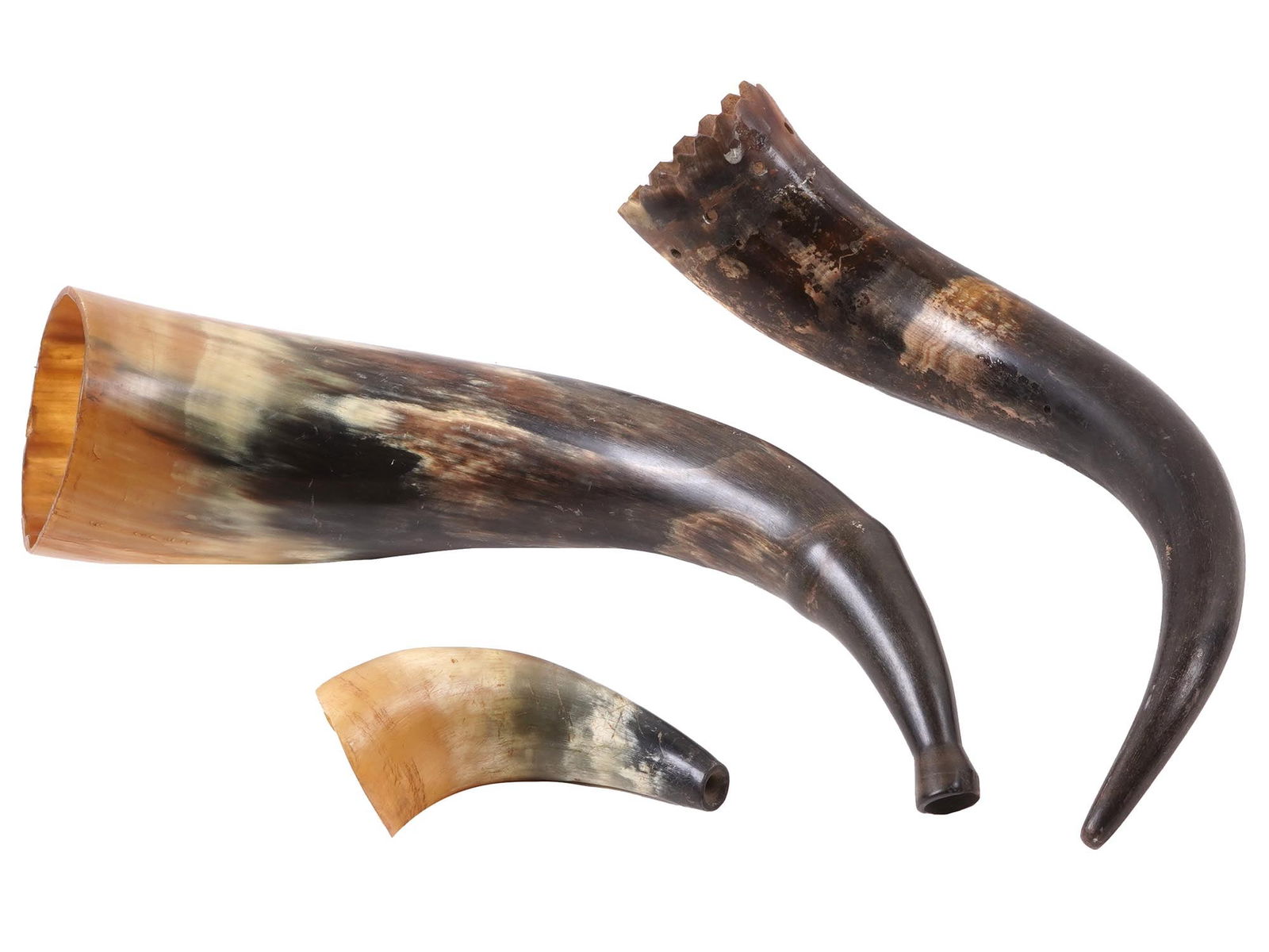 THREE VINTAGE HORNS AND JEWISH SHOFARS (1 of 5)