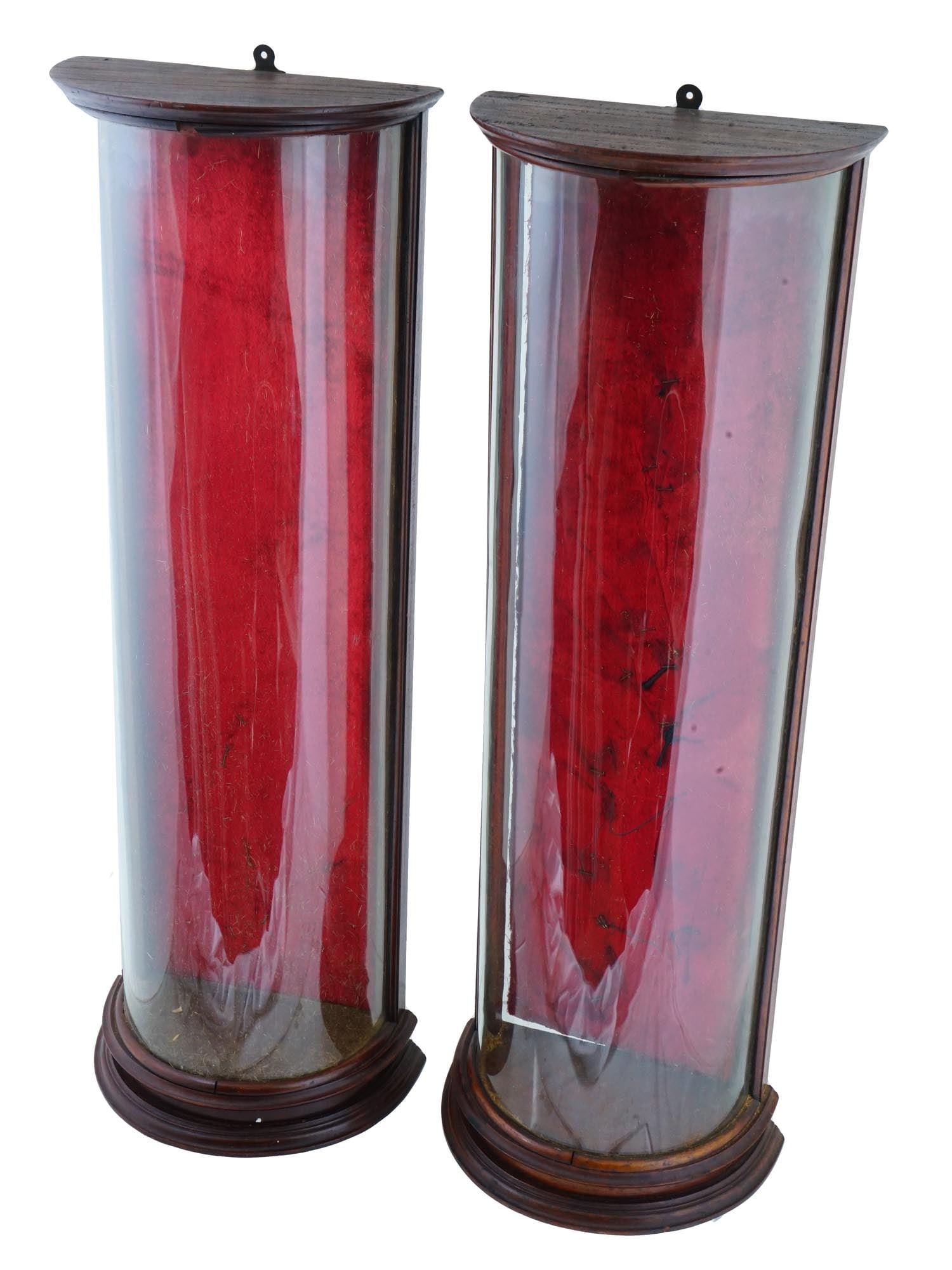 ANTIQUE VICTORIAN NATURE DISPLAY WALL CABINETS (1 of 11)