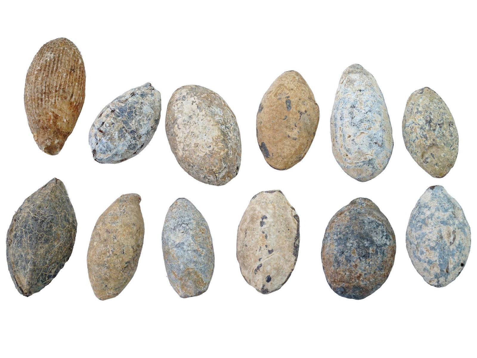 COLLECTION OF ANCIENT ROMAN STONE HUNTING BULLETS: A collection of ancient Roman carved stone weights. Twelve pieces. The weights are oval shaped in various sizes. several wares are adorned with engraved ribbed ornaments. Total weight 348 g. Ancient A