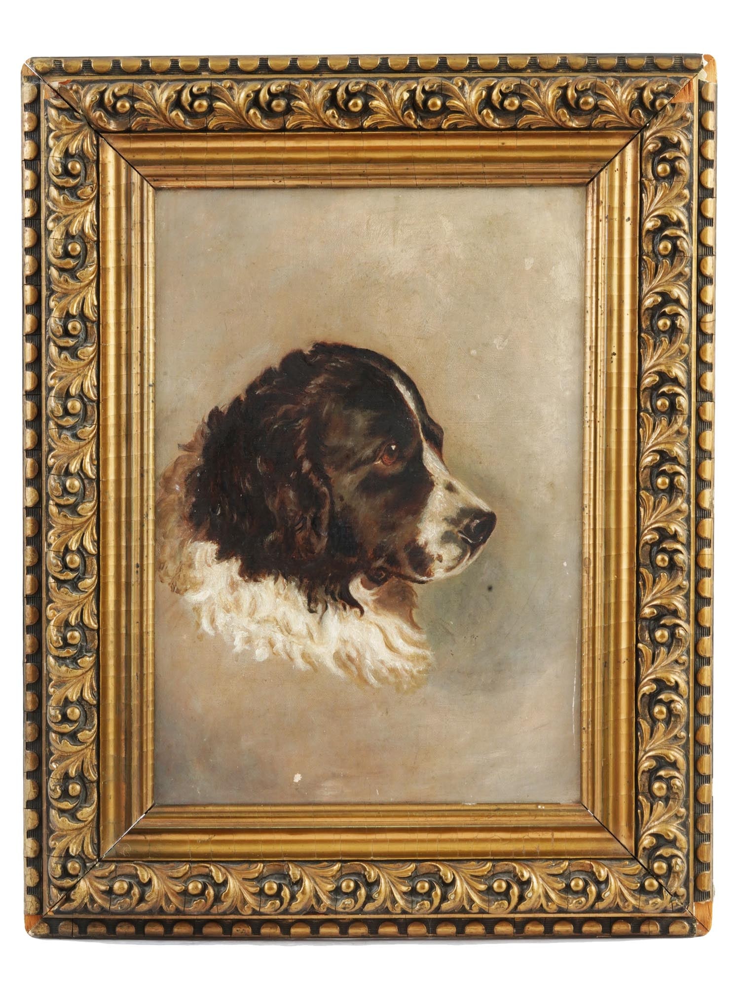ANTIQUE 19TH C OIL PAINTING PORTRAIT OF A DOG: Oil on canvas painting. British, 19th century. Profile portrait of an English Springer Spaniel. Unsigned. Ornate golden frame. Collectible Fine Art, Animalier. Dimensions: Frame 20 x 15 1/2 in. Canvas