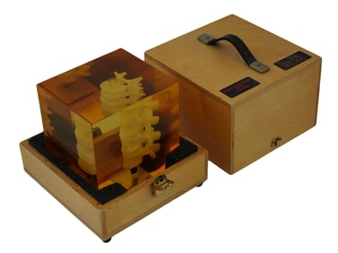 ANTHROPOMORPHIC SPINE PHANTOM PRODUCED BY HOLOGIC