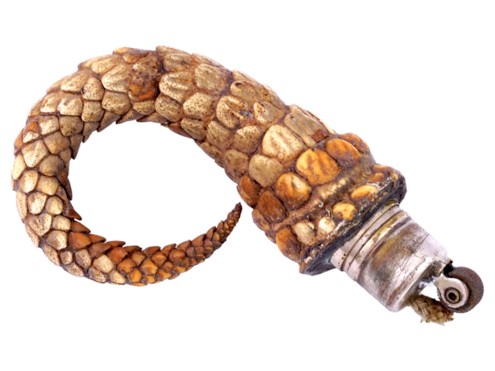 VINTAGE LIGHTER MADE OF NATURAL MATERIALS: A rare vintage petrol lighter presumably made in Argentina in the 20th century. It is made in the form of the tip of a tail. On the lighter, we see a flint wheel and a wick on a metal, possibly silver