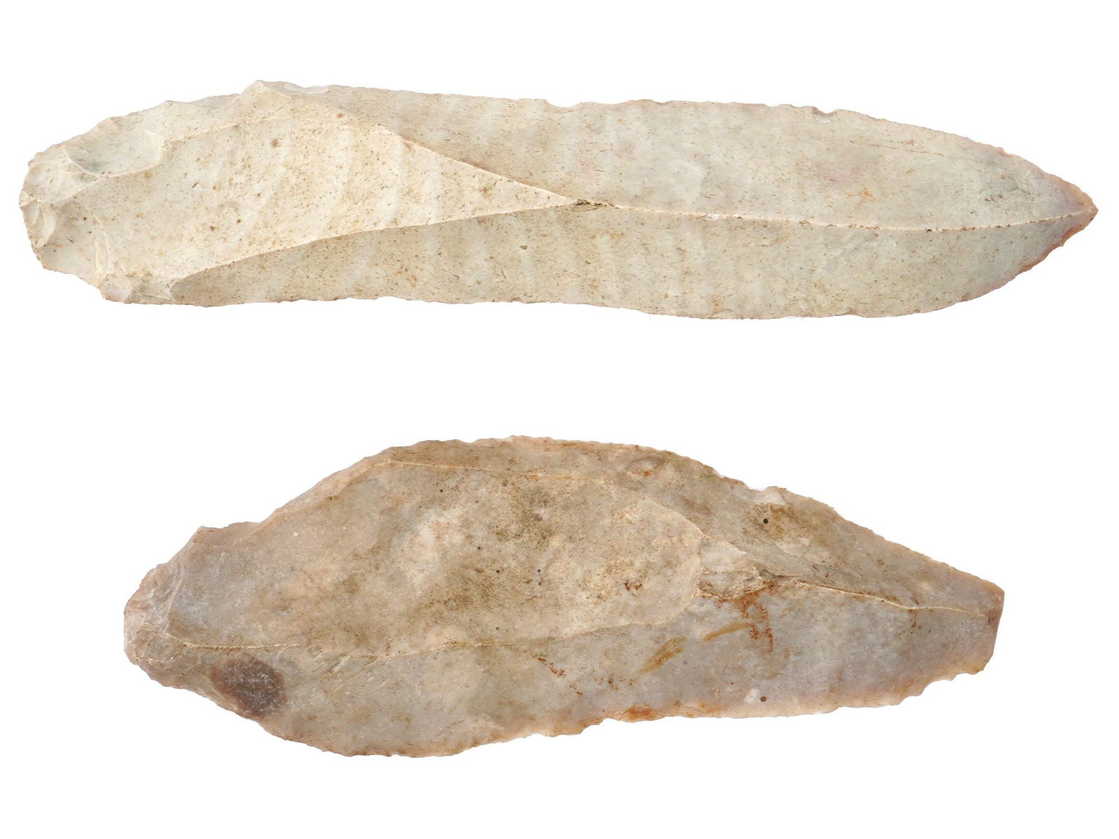 ANCIENT PREHISTORIC CARVED STONE EDGED WEAPONS: Two ancient carved stone weapons, dating back to 7000 BC or earlier. These artifacts feature edged sides, meticulously crafted to serve as a cutting or hunting tool, showcasing the ingenuity and survi