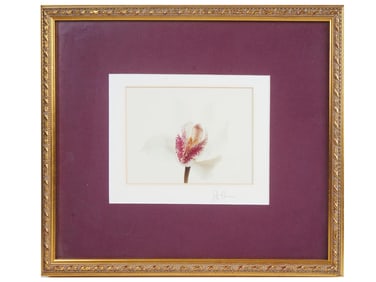 20TH CENTURY SCHOOL LILY FLOWER COLOR PRINT SIGNED