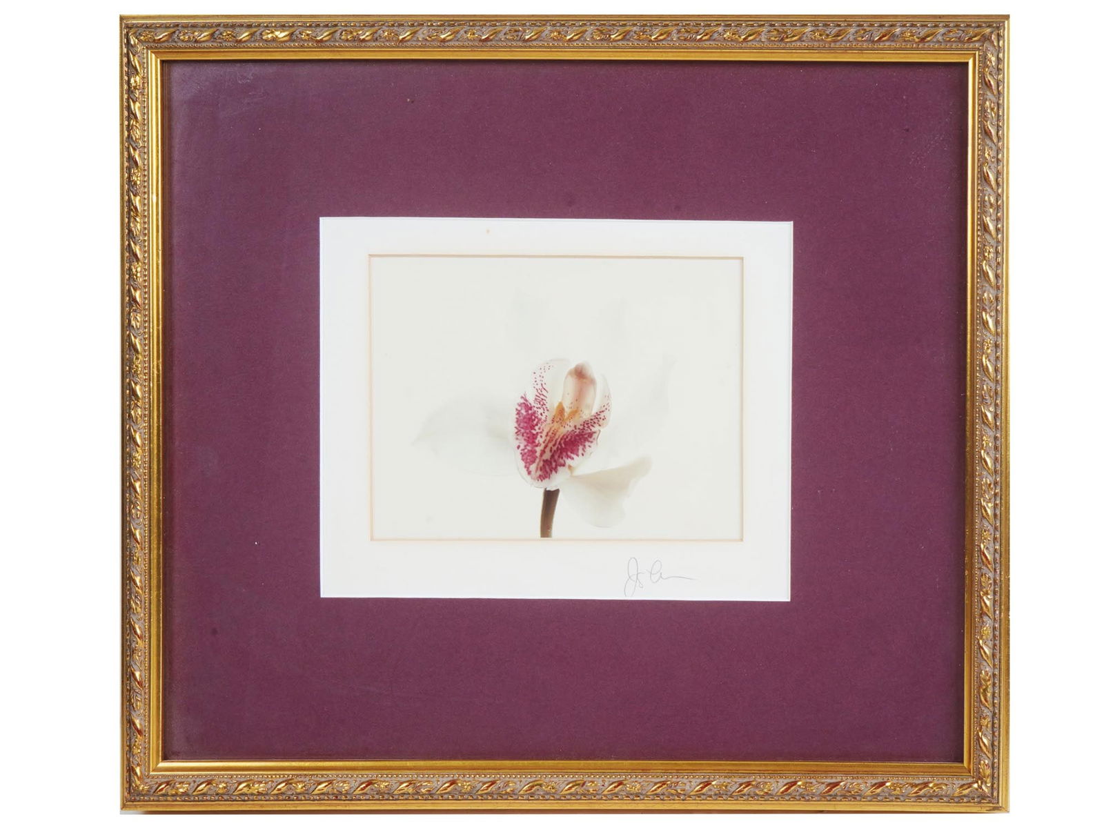 20TH CENTURY SCHOOL LILY FLOWER COLOR PRINT SIGNED (1 of 4)