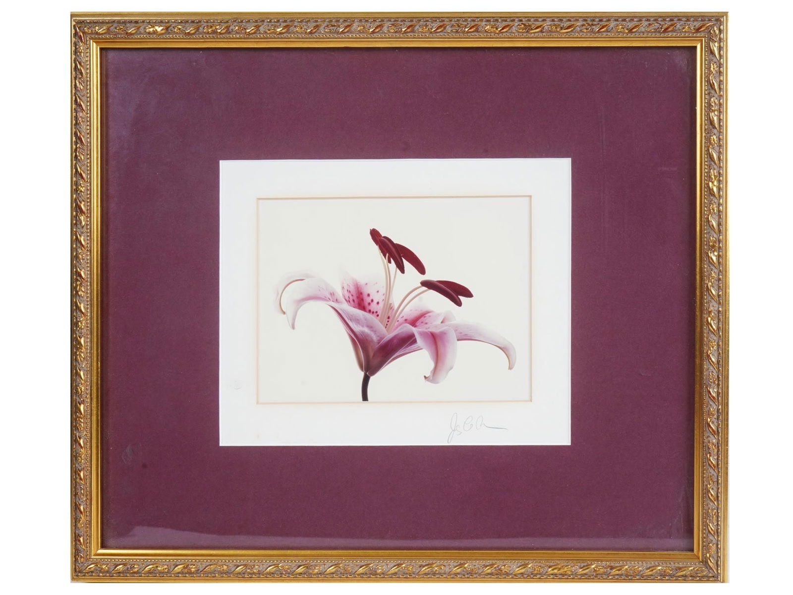20TH CENTURY SCHOOL LILY FLOWER COLOR PRINT SIGNED (1 of 4)