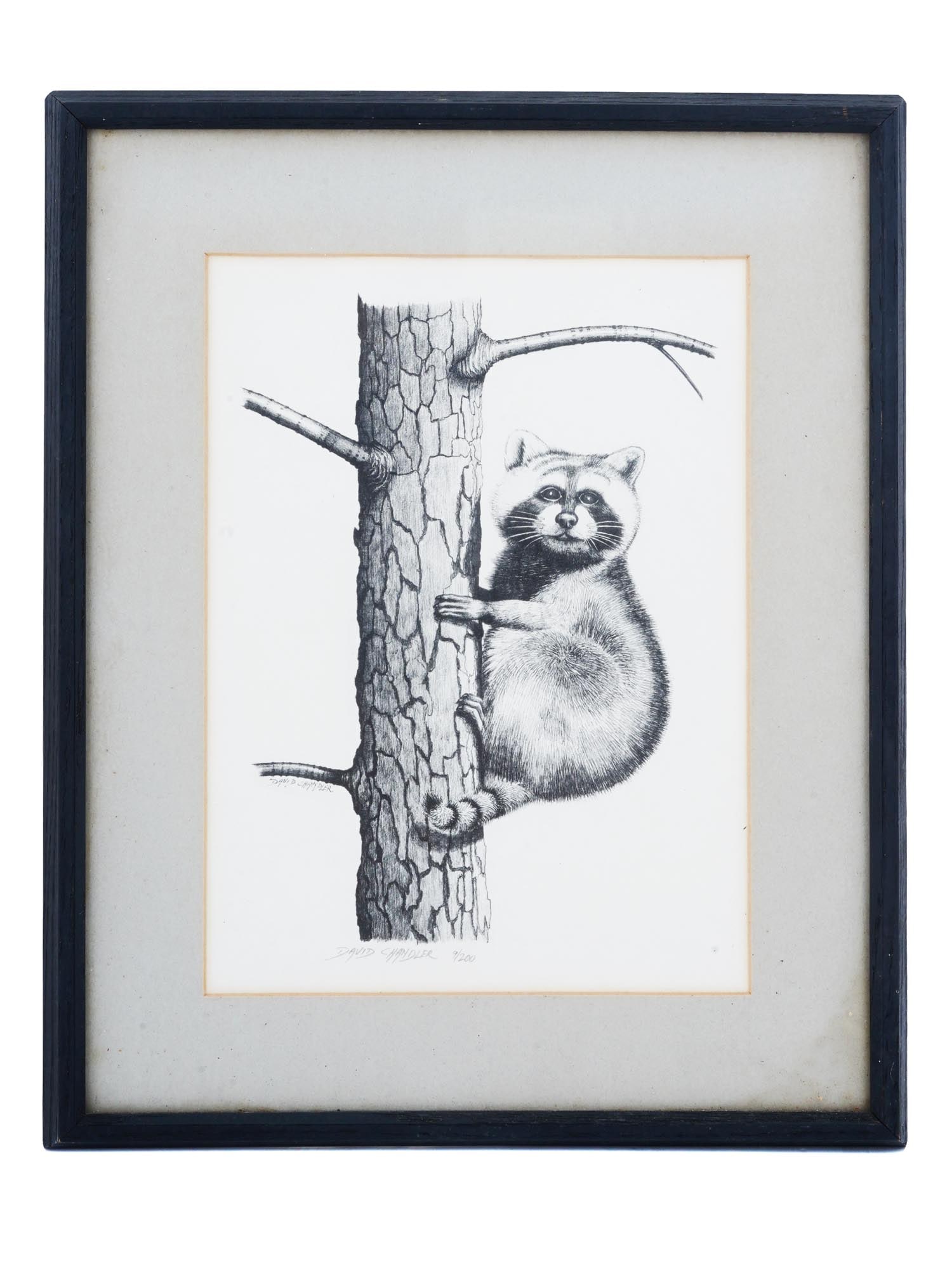 AUSTRALIAN ANIMAL LITHOGRAPH BY DAVID CHANDLER (1 of 5)