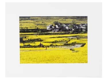 LTD LANDSCAPE PHOTO ART PRINT BY JOHN DENG SIGNED