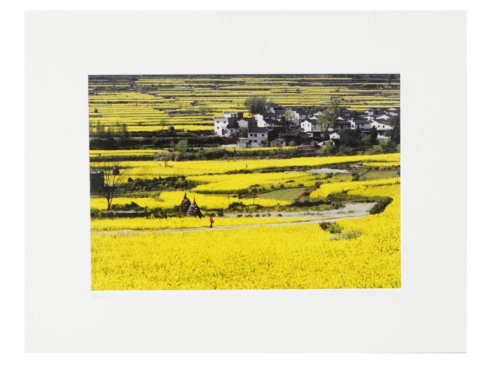 LTD LANDSCAPE PHOTO ART PRINT BY JOHN DENG SIGNED (1 of 7)