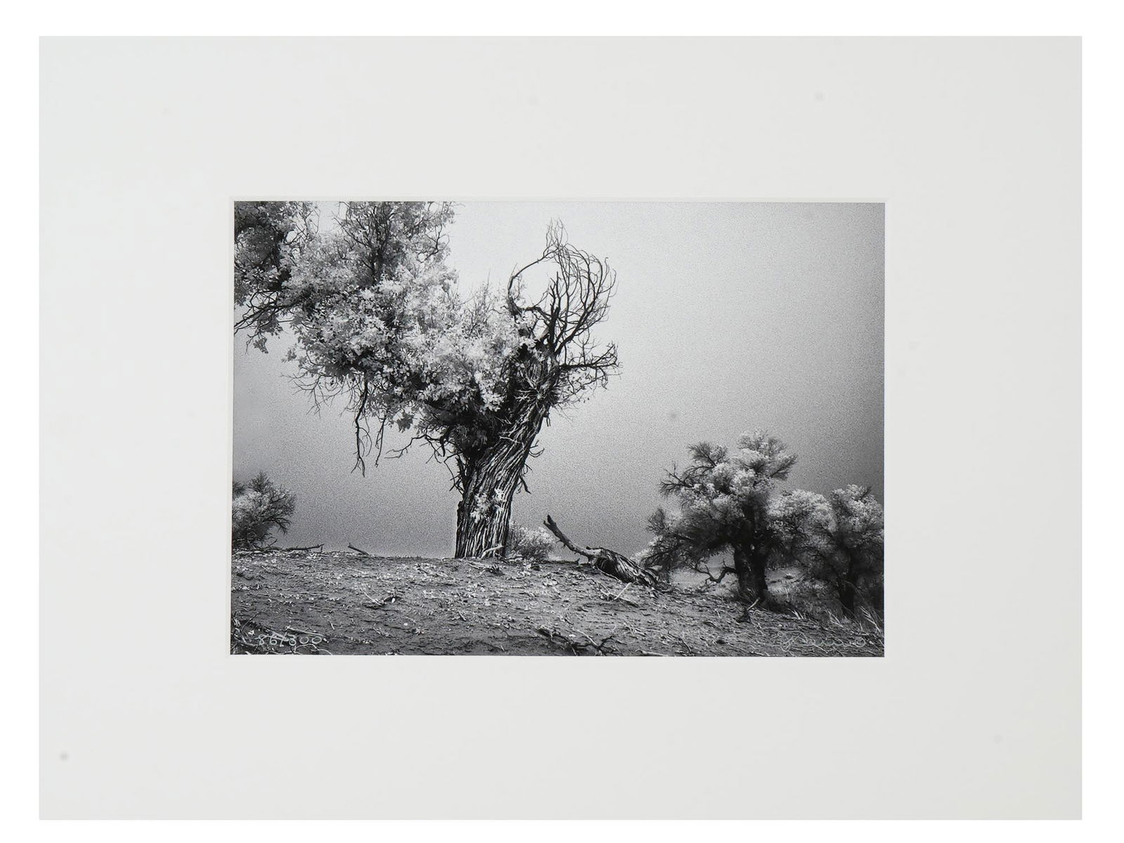 AMERICAN LANDSCAPE ART PRINT BY MICHAEL J LEU SIGNED (1 of 6)