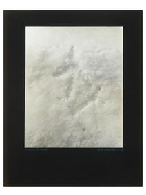 VINTAGE PHOTOGRAPH NESHANIC PHEASANT WINSLOW HALL