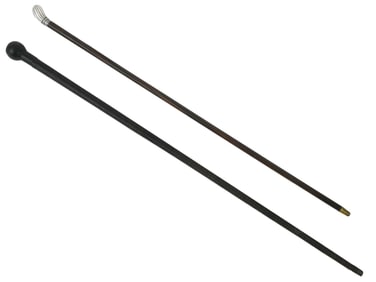 LOT OF TWO AUSTRIAN HAND CARVED WOOD WALKING CANES