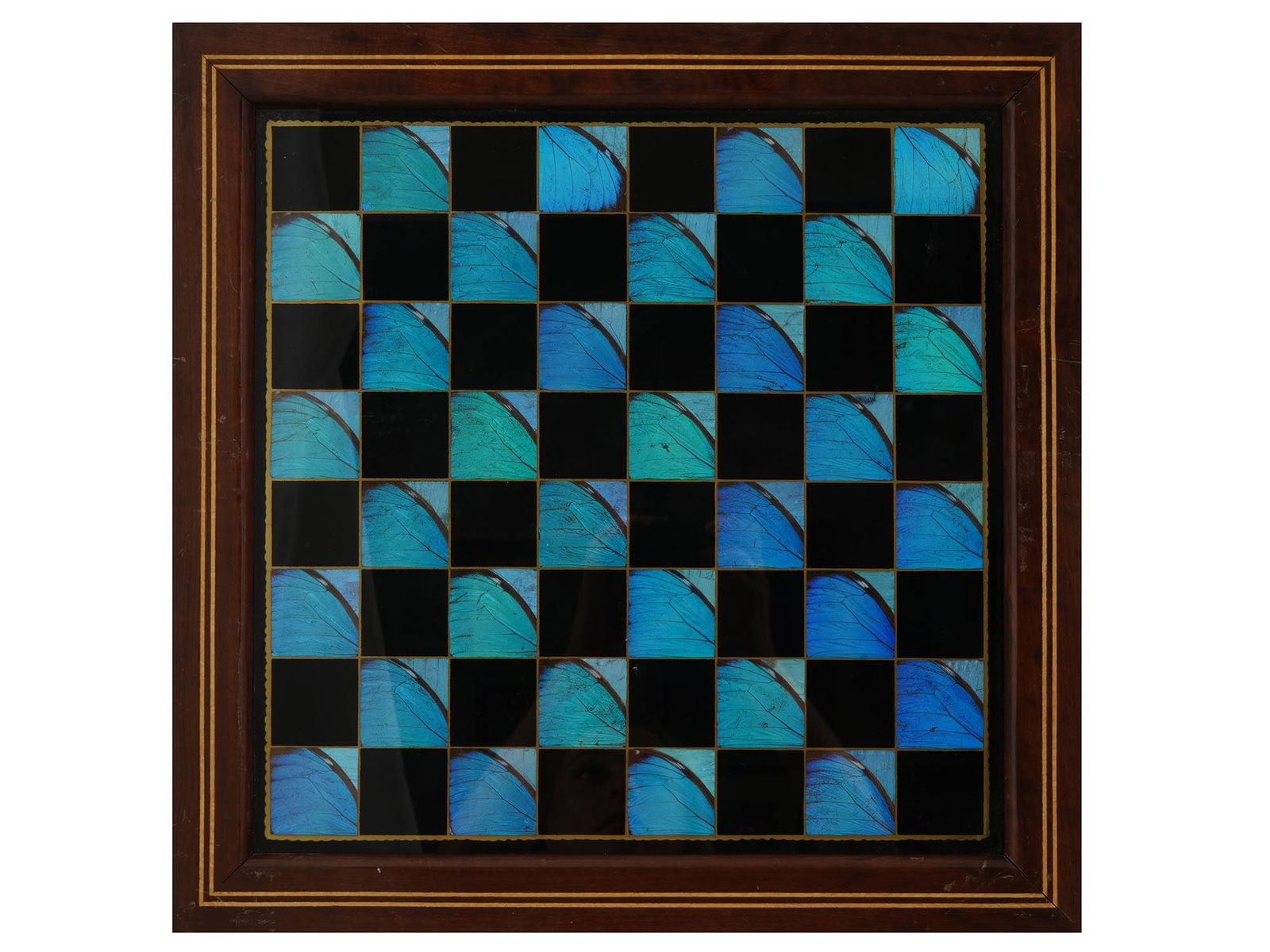 BRAZILIAN BUTTERFLY WINGS MARQUETRY CHESSBOARD (1 of 4)