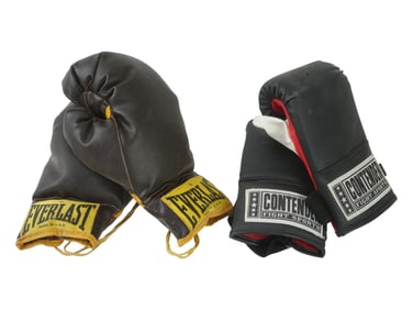 VINTAGE FIGHT SPORTS BOXING GLOVES EVERLAST CONTENDER
