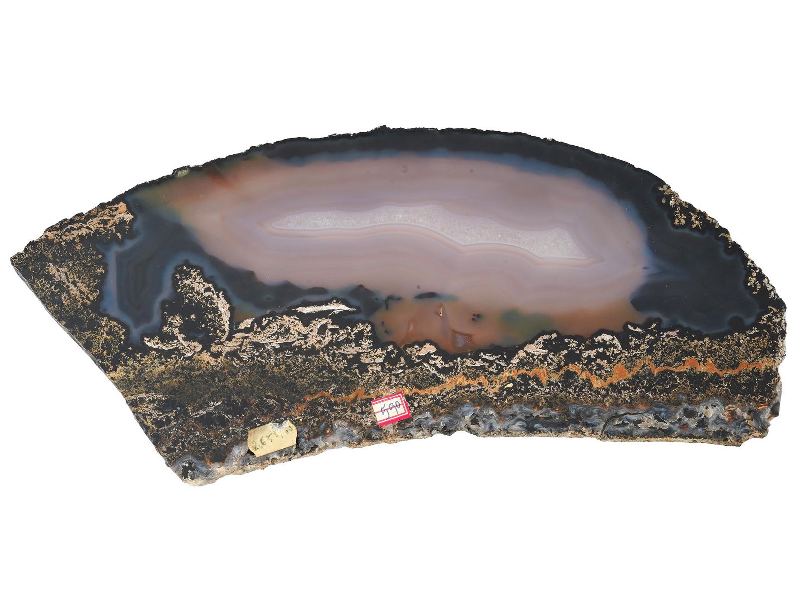 ANCIENT GEOLOGICAL MINERAL SPECIMEN OF PETRIFIED WOOD: An ancient mineral specimen. Polished petrified wood piece with agate. Collectible Crystals And Minerals. Dimensions: 6 x 13 in. All measurements are approximate.