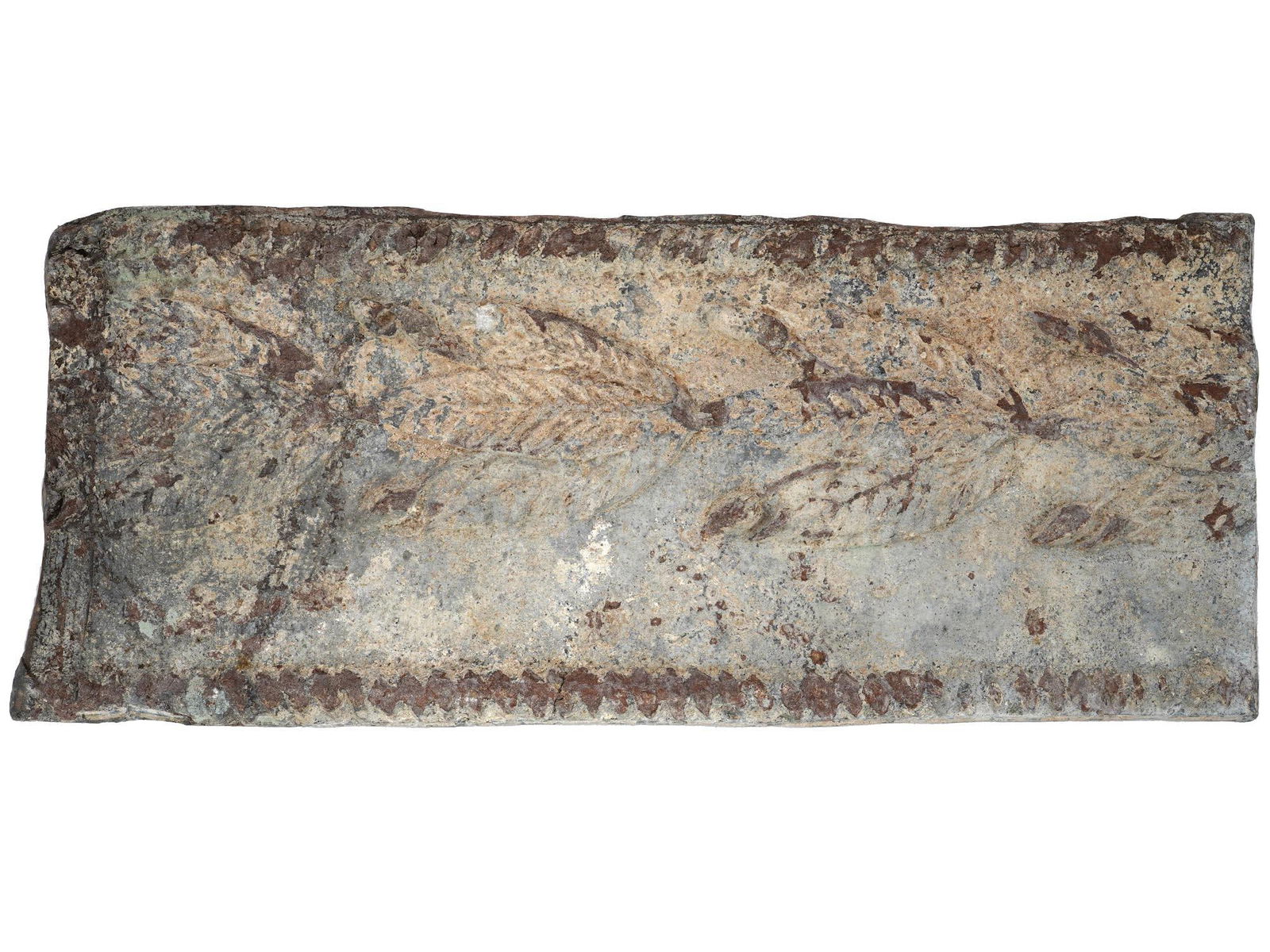 ANCIENT ROMAN LEAD PLAQUE WITH IMAGE OF LOTUS FLOWER (1 of 5)