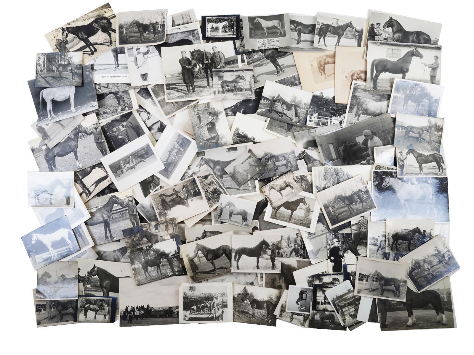 LARGE COLLECTION OF RUSSIAN EQUESTRIAN PHOTOGRAPHS (1 of 13)