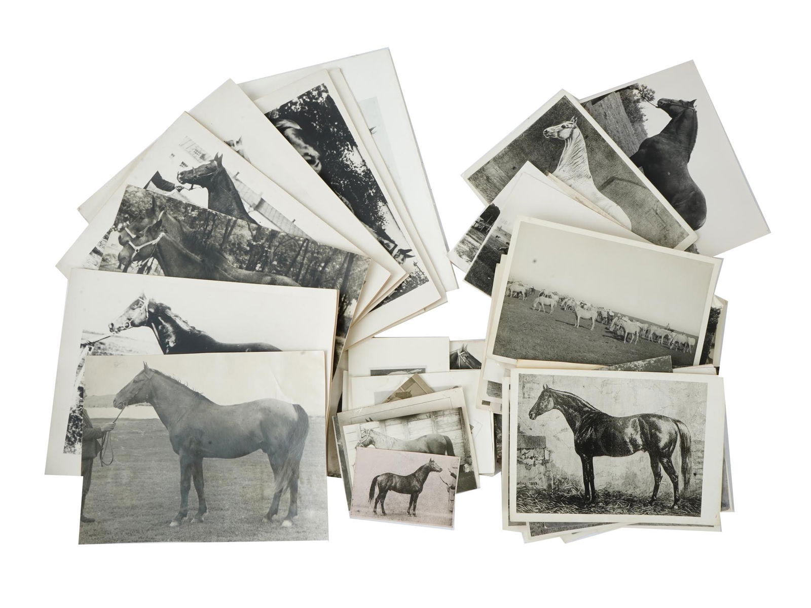 LARGE COLLECTION OF RUSSIAN EQUESTRIAN PHOTOGRAPHS (1 of 6)