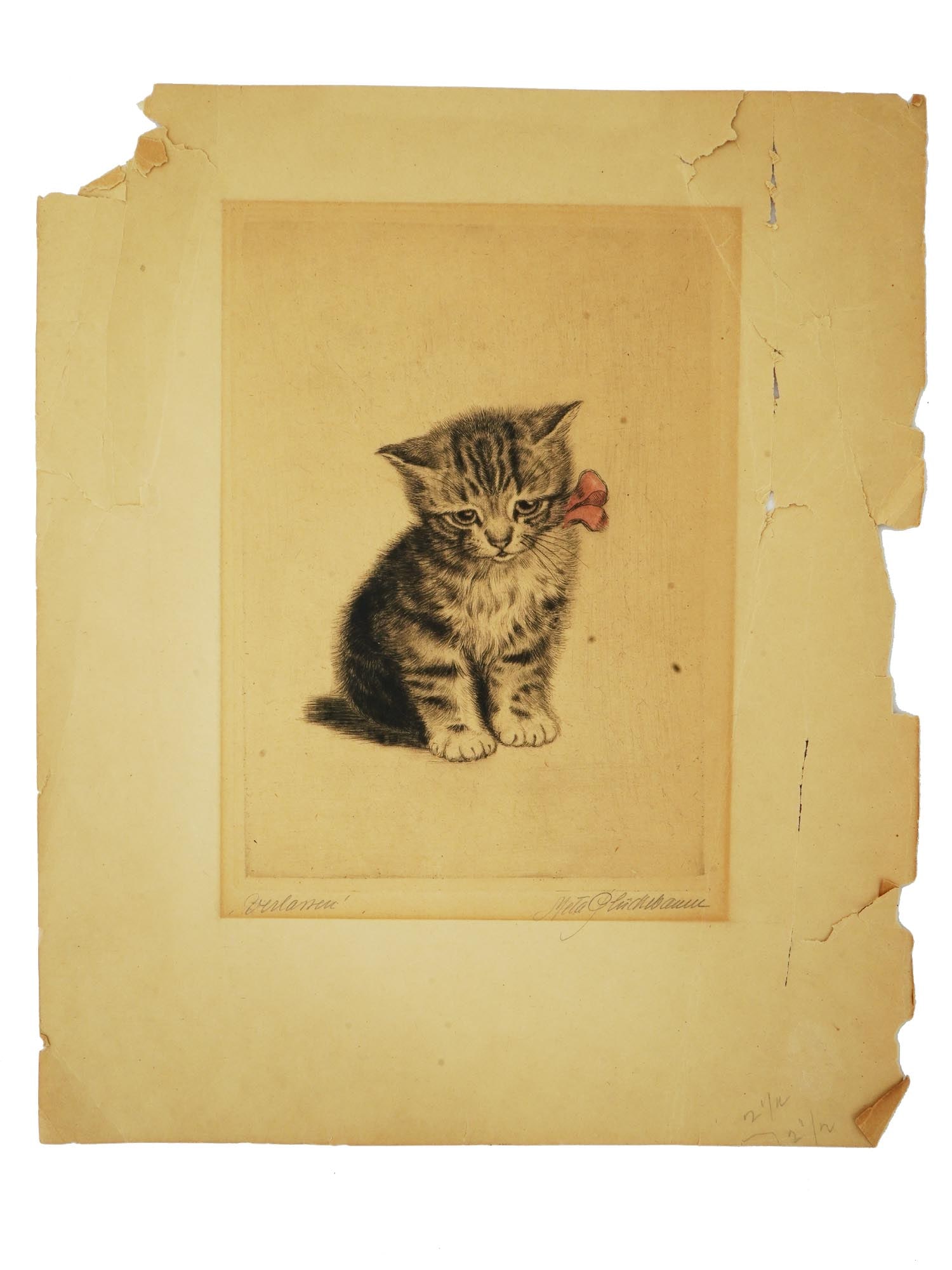 GERMAN CAT PORTRAIT ETCHING BY META PLUCKEBAUM (1 of 8)