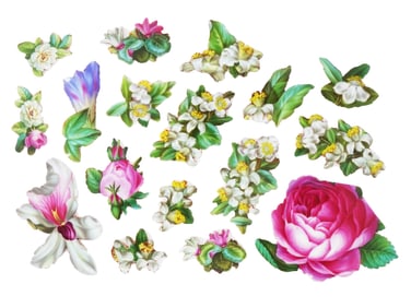 ENGLISH XIX C PORCELAIN MINIATURE FLOWER PLAQUES