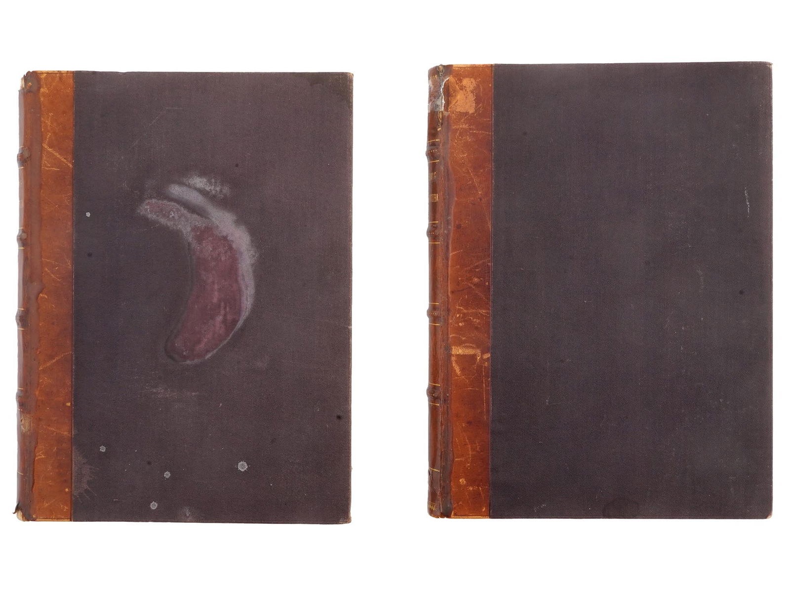 RUSSIAN 2 VOLUME EDITION OF WORKS BY MIKHAIL LERMONTOV (1 of 12)