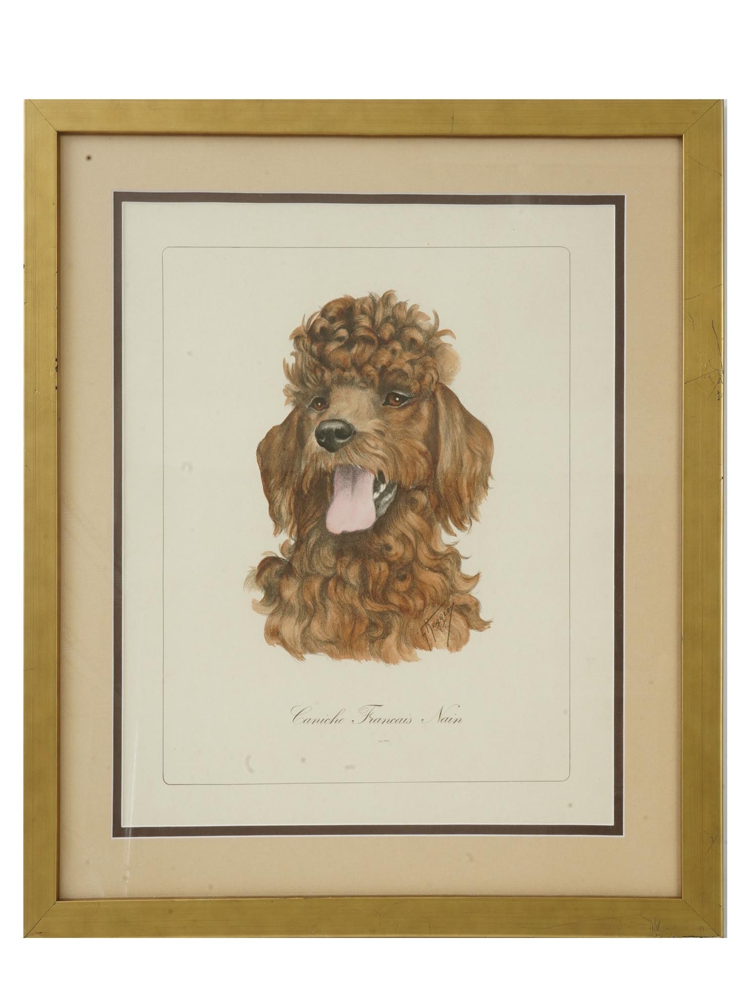 ITALIAN DOG PORTRAIT LITHOGRAPH BY GIANNI REGGIO (1 of 5)