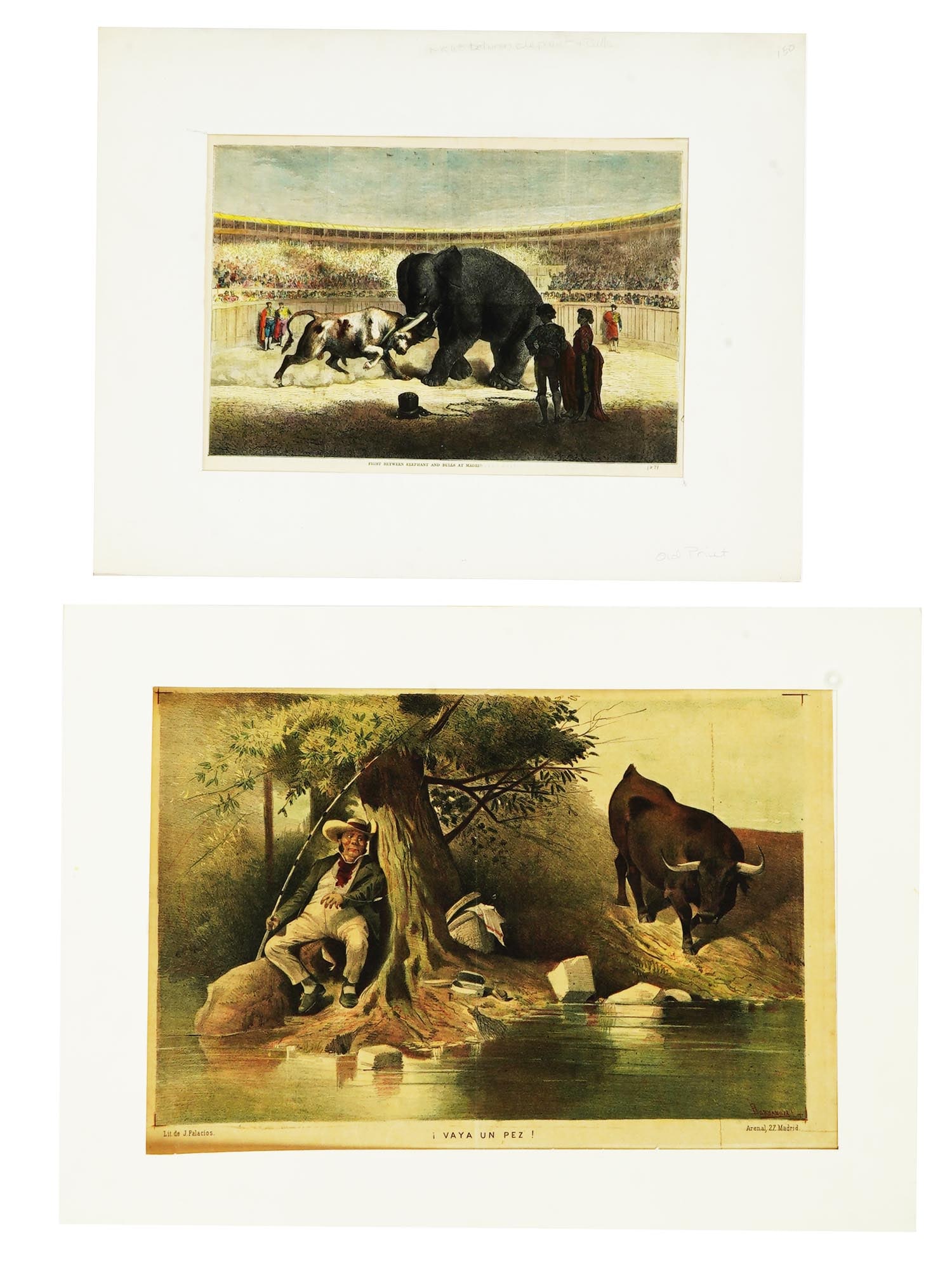 ANTIQUE BULL LA LIDIA FIGHTING MAGAZINE ENGRAVINGS (1 of 11)