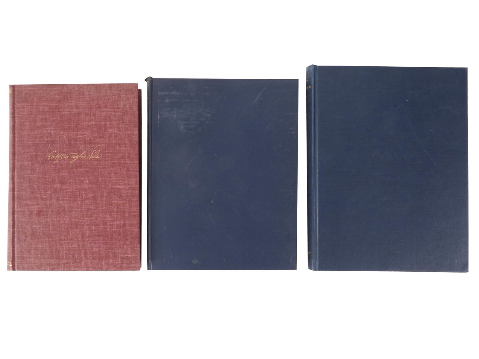 BOOKS ABOUT ITALIAN RENAISSANCE ART AND CULTURE: A lot of three vintage hardcover books on the history of fine and applied arts. The Etruscan Lion, by W. Llewelyn Brown, 1960. The Life and Times of Gaspare Tagliacozzi, Surgeon of Bologna, 1545-1599,
