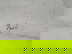 item-190108886=4