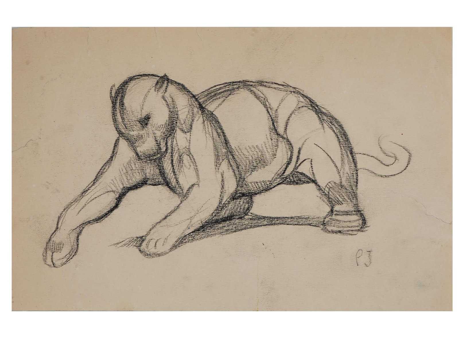 AFTER PAUL JOUVE FRENCH ANIMAL CHARCOAL PAINTING: After Paul Jouve, French, 1878 to 1973, a charcoal painting on paper. Signed PJ lower right. Depicting a wild cat. Pierre Paul Jouve was a French painter, sculptor, and illustrator. He was notable for