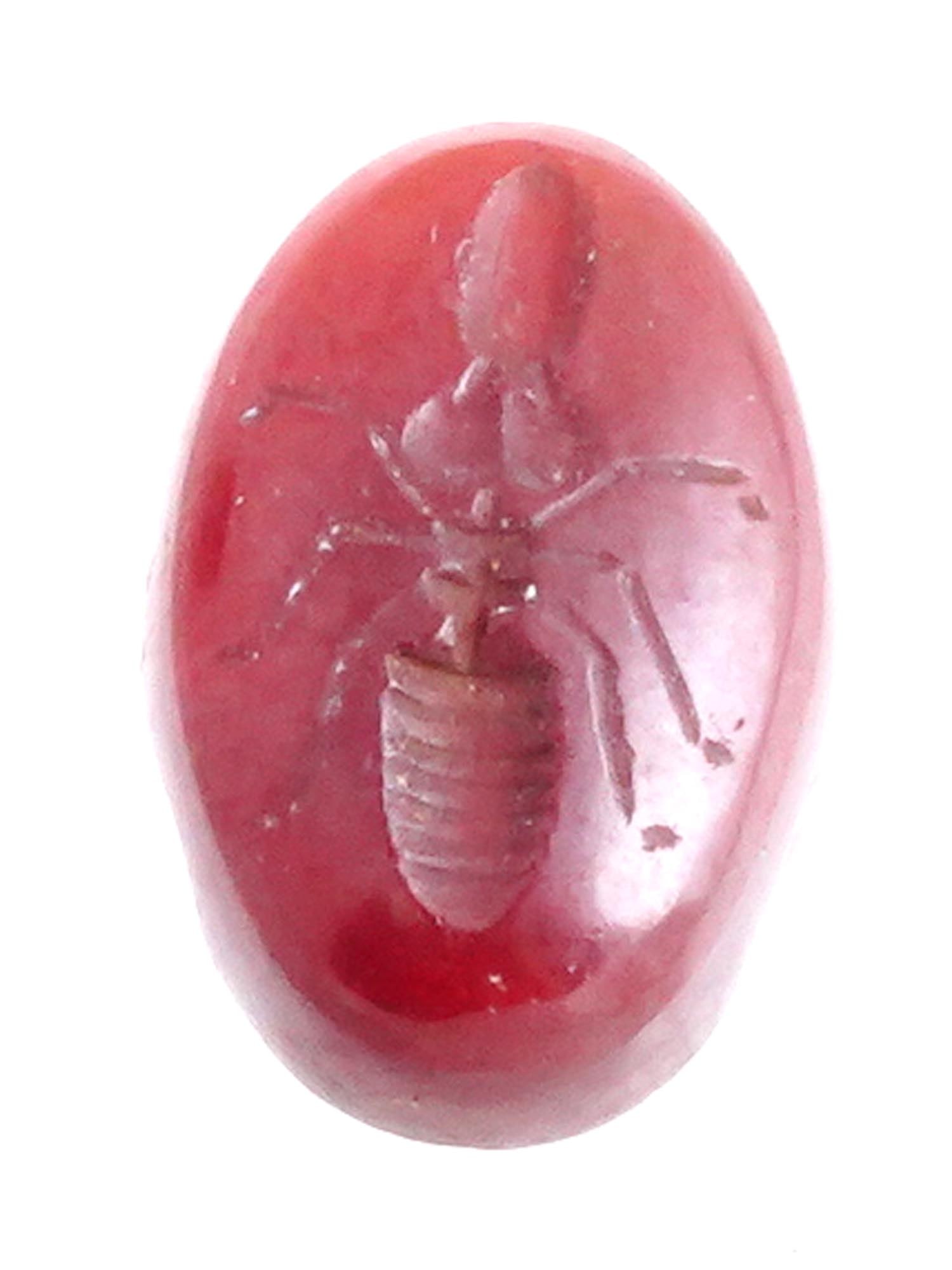 ANCIENT ROMAN CARNELIAN INTAGLIO WITH SPIDER IMAGE (1 of 3)