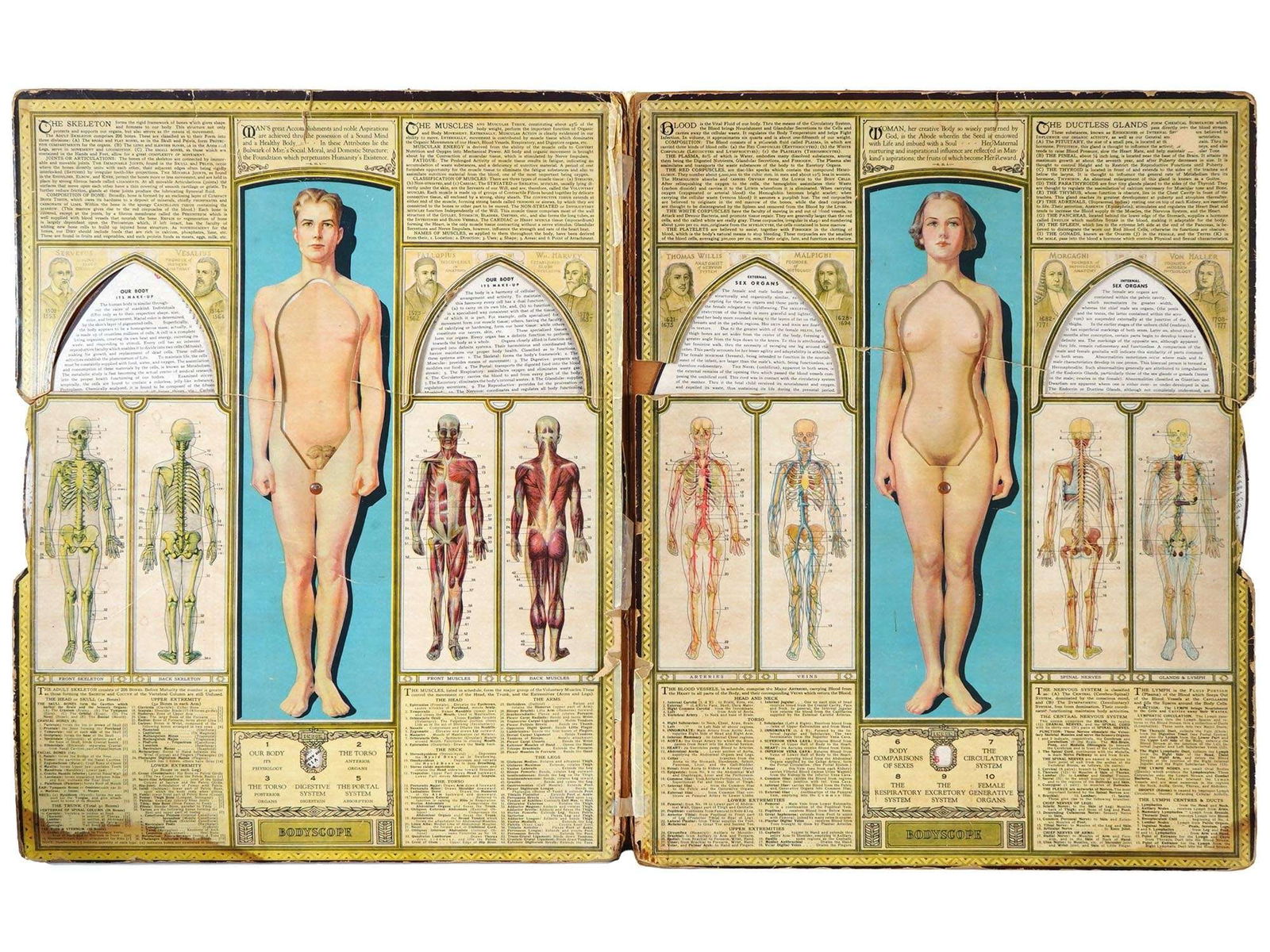 1940S BODYSCOPE MOVING MEDICAL REFERENCE CHART SEGAL (1 of 5)