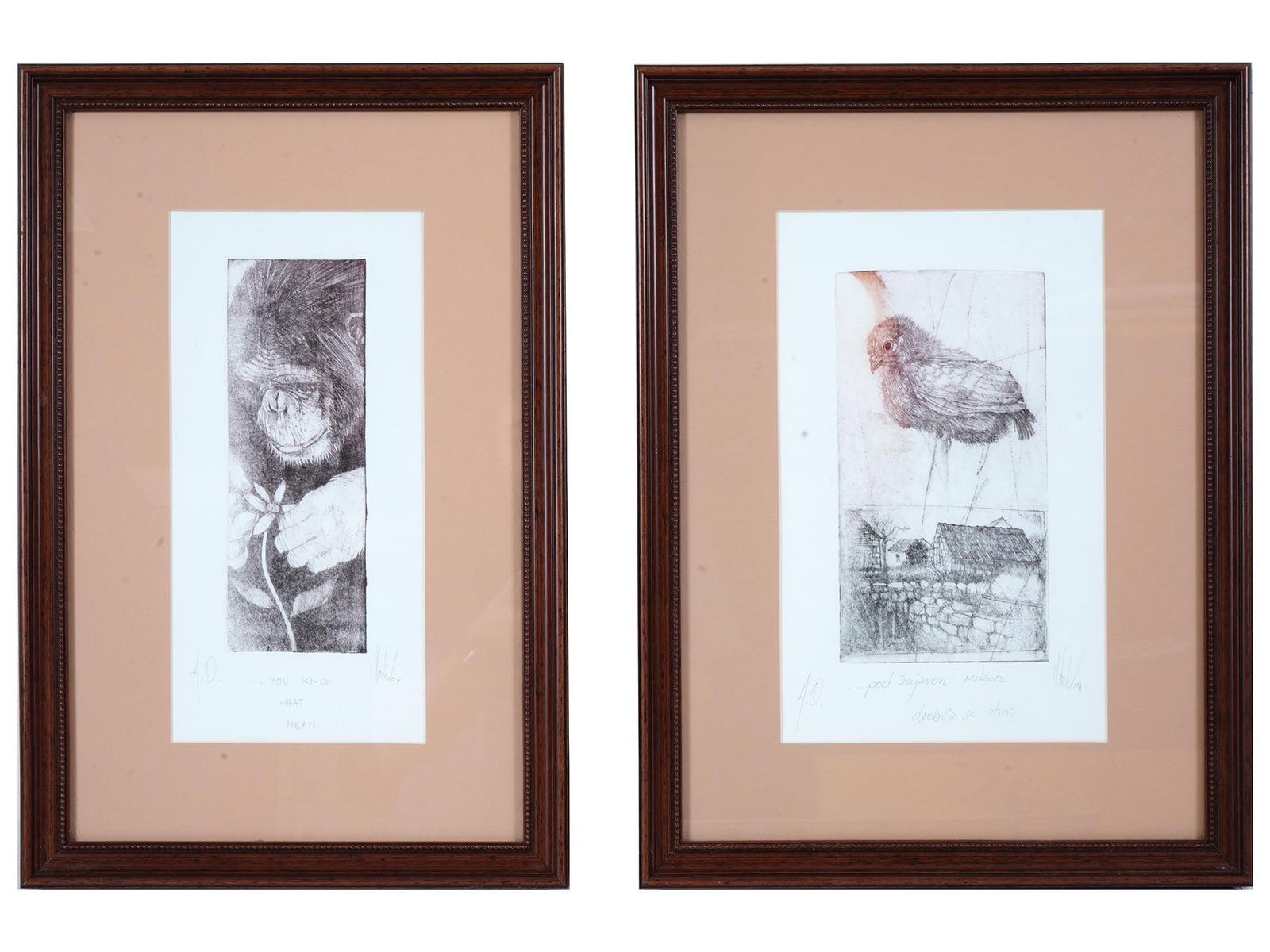 MODERN CROATIAN DRYPOINT ETCHINGS CHIMPANZEE AND BIRD (1 of 6)