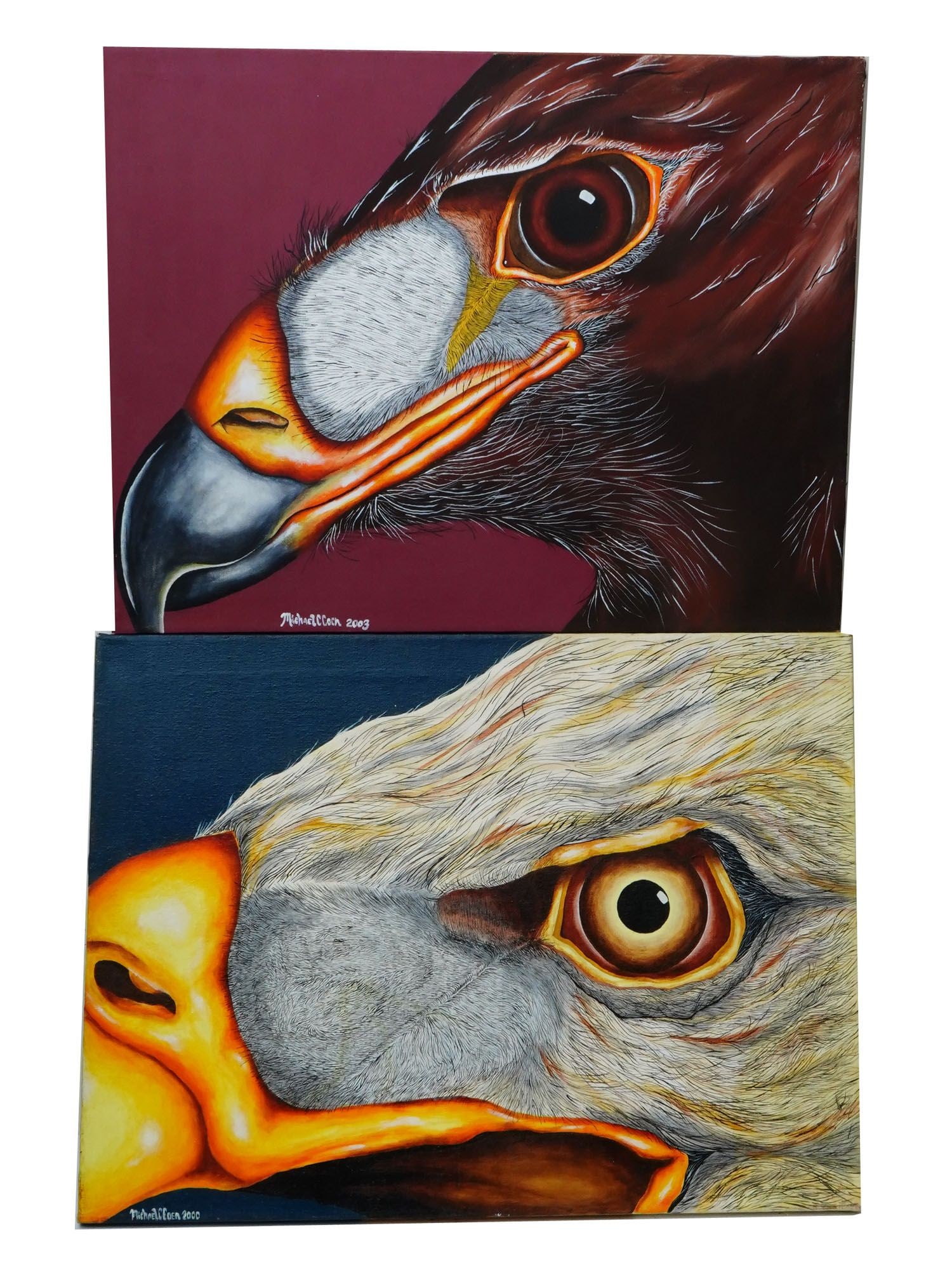 AMERICAN OIL PAINTINGS OF BIRDS BY MICHAEL C. COEN (1 of 6)