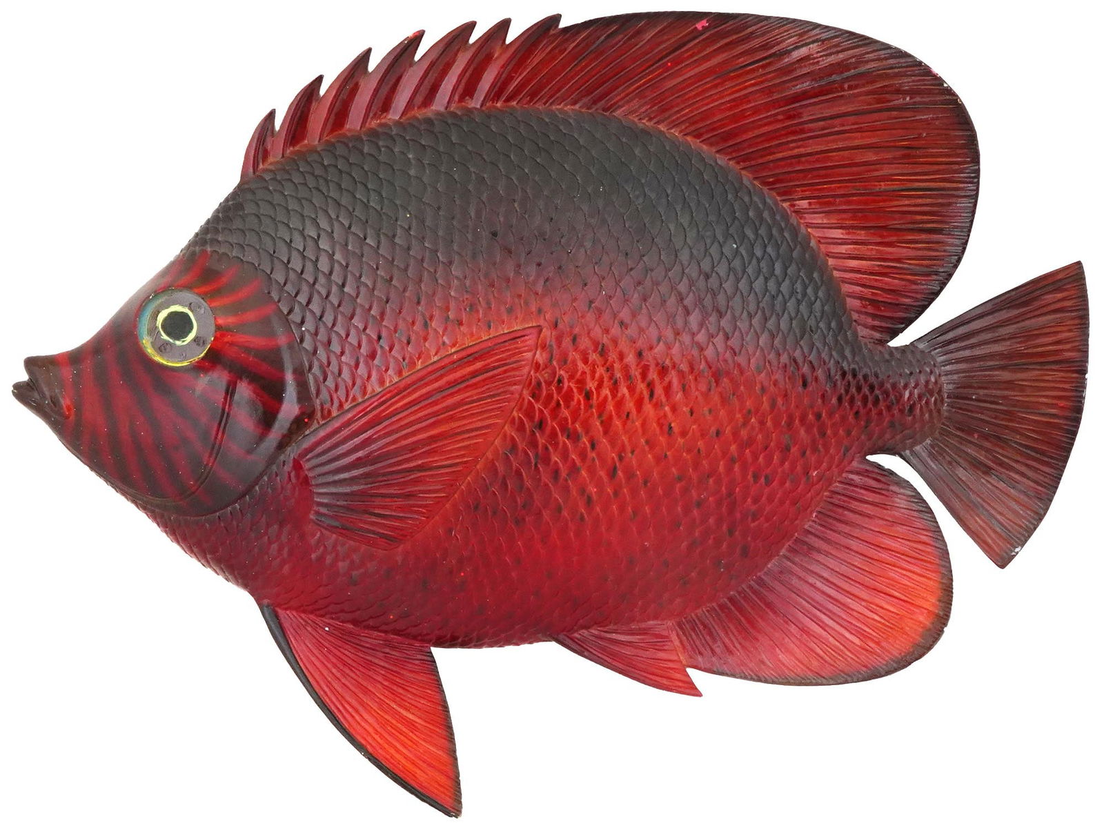 HAND PAINTED FISH PLAQUE MARINE WALL DECOR (1 of 4)