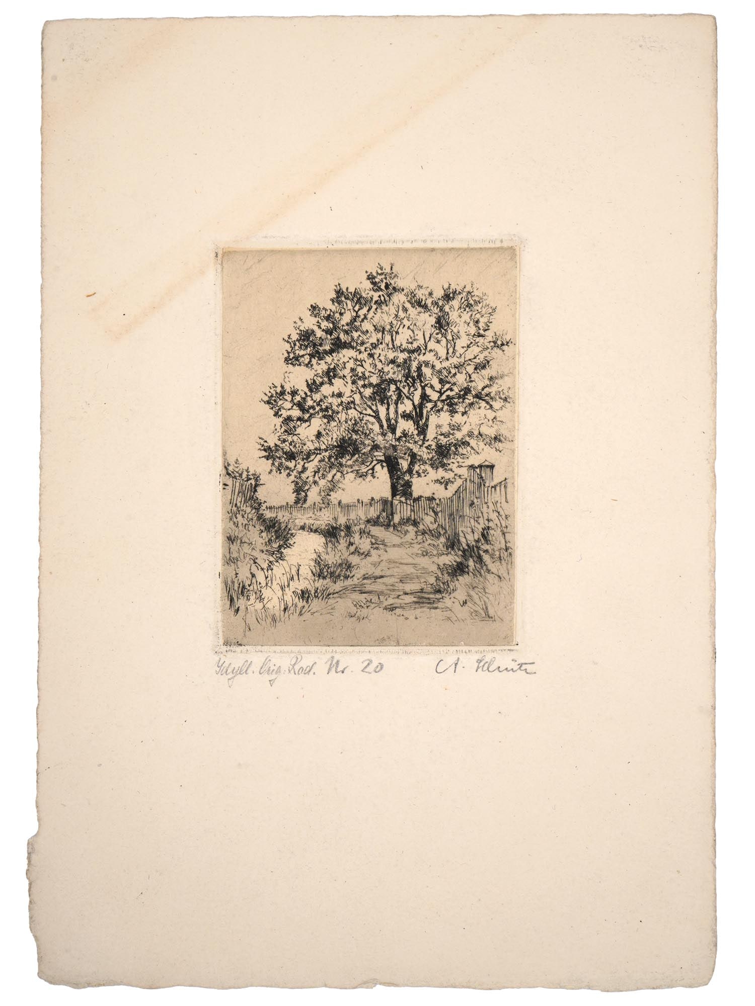 ANTON SCHUTZ AMERICAN RURAL LANDSCAPE ETCHING: Etching on paper by Anton Schutz, 1894 to 1977, an American artist of German descent. The artwork depicts a rural landscape with a tree. Signed by the artist in pencil in the lower right. Circa 1920s.